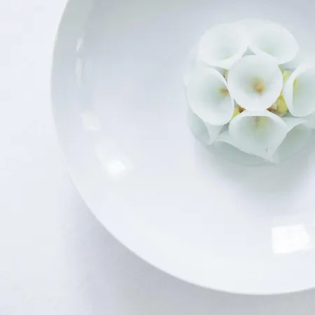 Norre Vosborg & Gastronomi Vemb