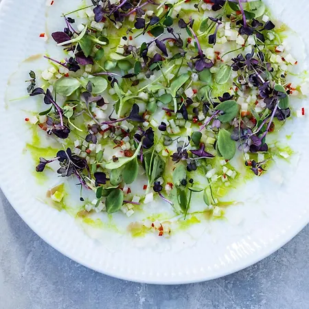 Norre Vosborg & Gastronomi Vemb