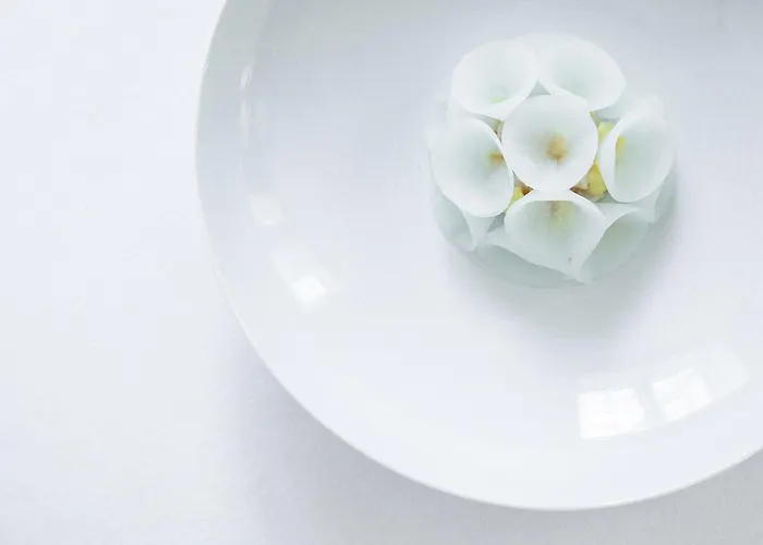 Norre Vosborg & Gastronomi Vemb